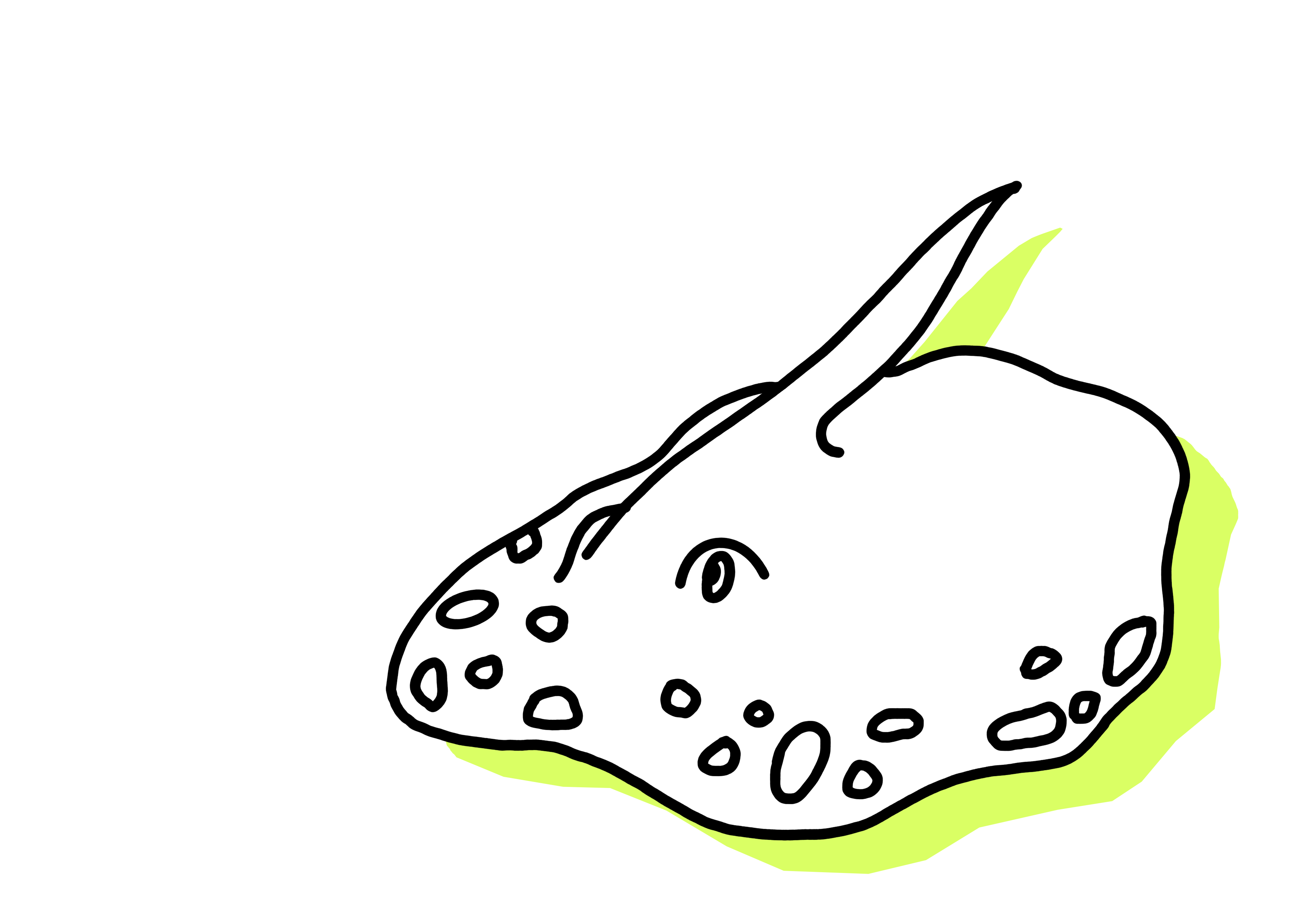a small illustration of a stingray